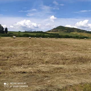 zoom immagine (Rustico 1150 mq, zona San Casciano dei Bagni)