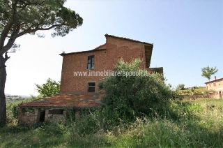 zoom immagine (Rustico 523 mq, più di 3 camere, zona Torrita di Siena)