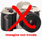 zoom immagine (TOYOTA RAV4 2.0 D-4D 2WD Style)